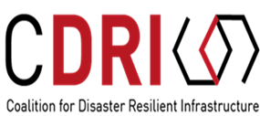 Coalition for Disaster Resilient Infrastructure